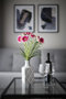Easy Rent Apartments  - 24