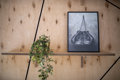 Easy Rent Apartments  - 22